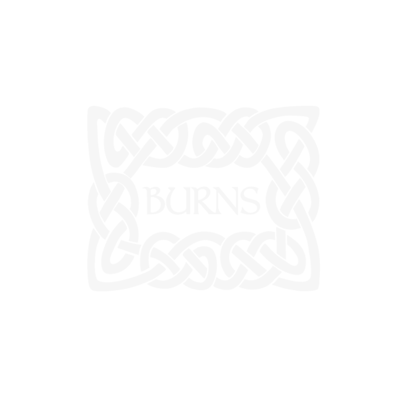 Burns Pet Nutrition Logo